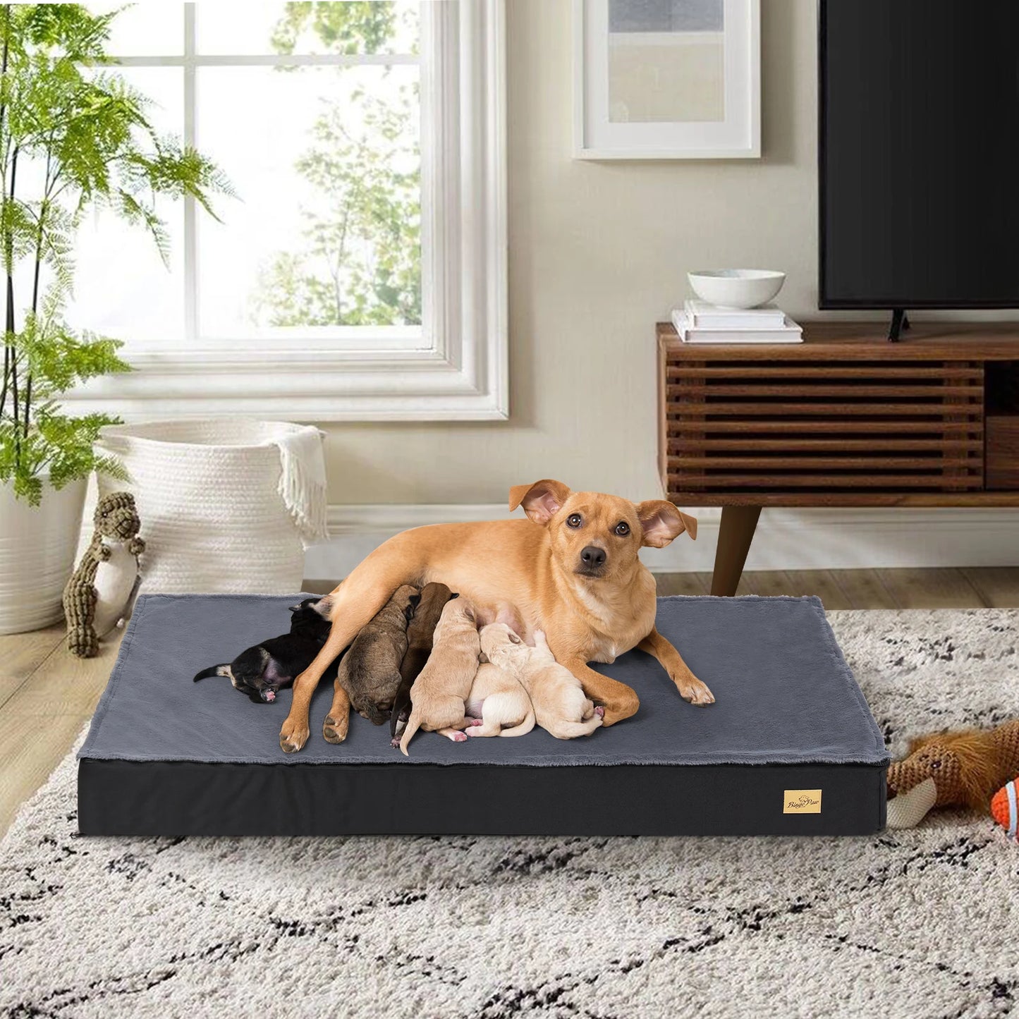 Matelas Chien Imperméable Lavable