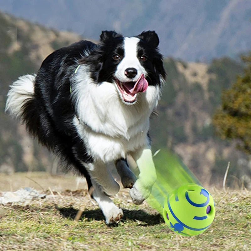 Wobble Wag Giggle Ball – Balle sonore interactive pour chien, amusante & anti-ennui