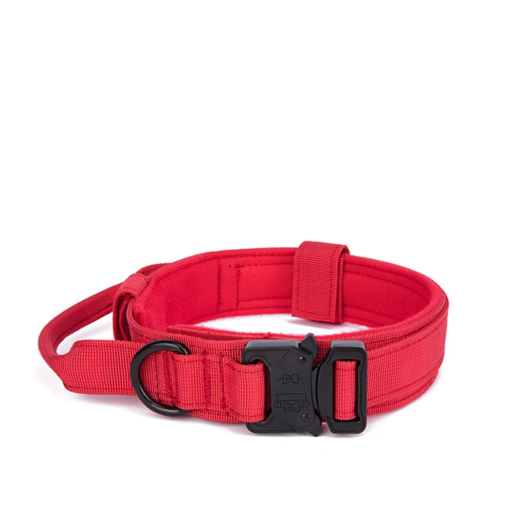 Ensemble collier & laisse en nylon pour chien – Réfléchissant, durable & tactique