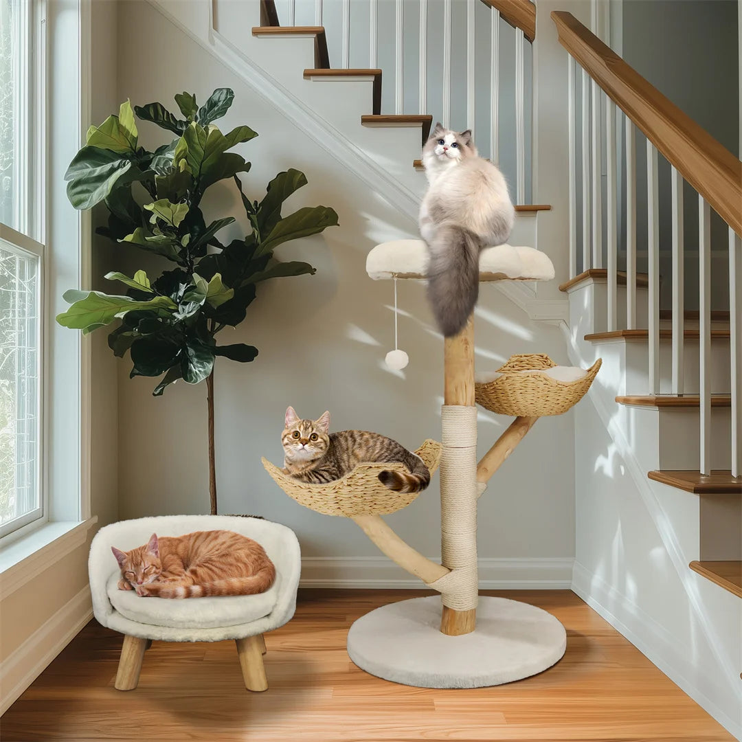 Arbre Chat Bois Massif