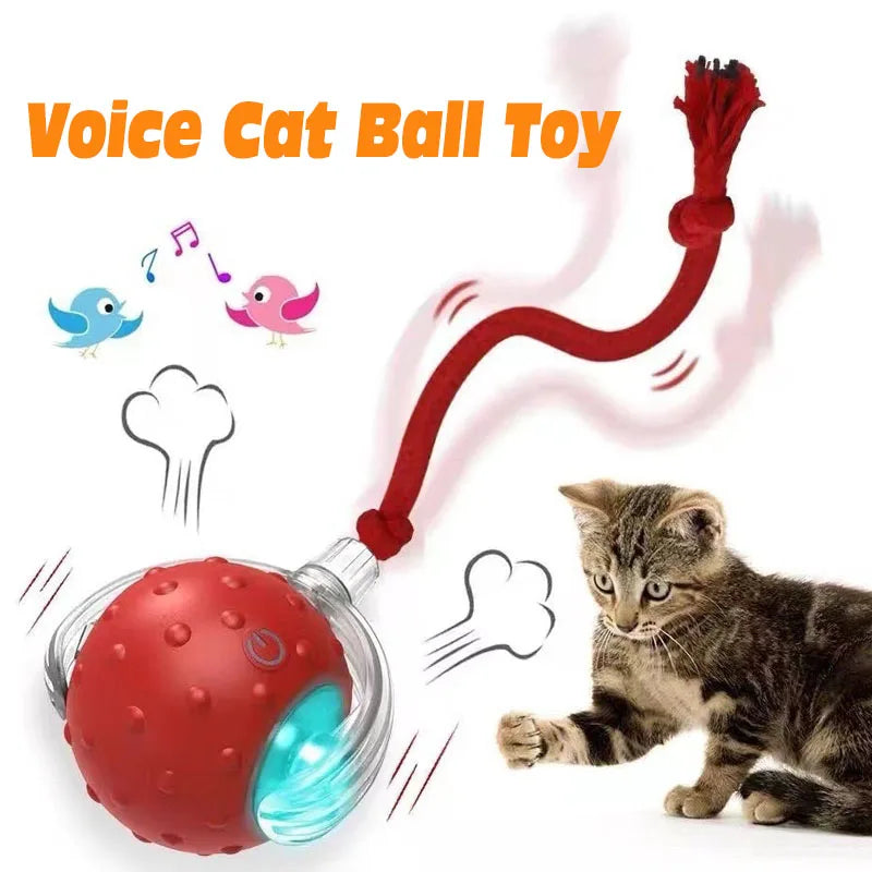Balle Imitation Souris Automatique