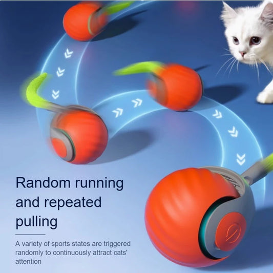 Balle interactive pour chat – Jouet électrique rechargeable USB imitation souris