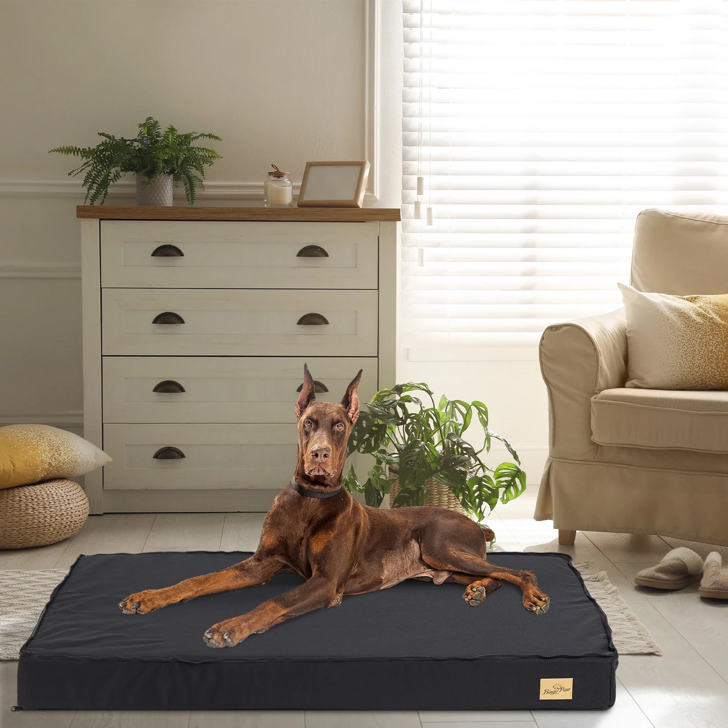 Matelas Chien Imperméable Lavable