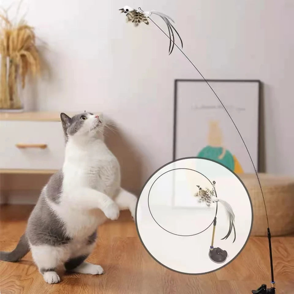 Canne à pêche pour chat