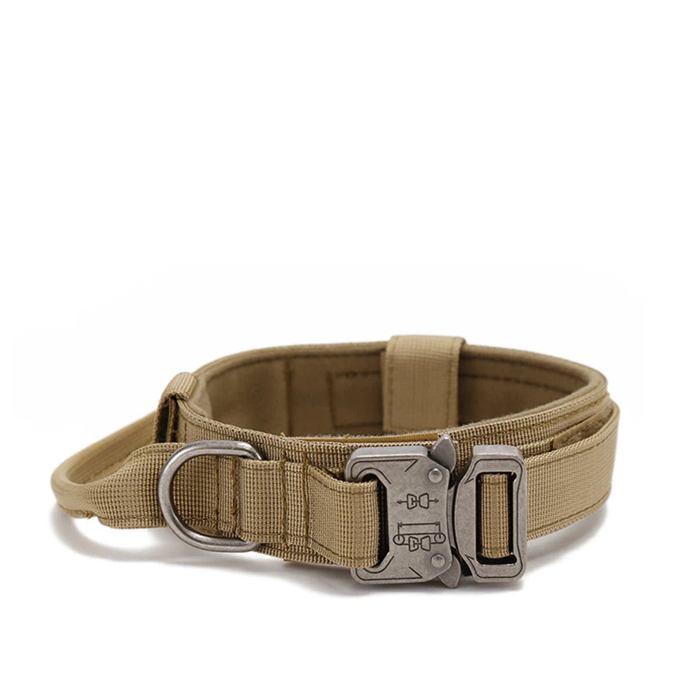 Ensemble collier & laisse en nylon pour chien – Réfléchissant, durable & tactique