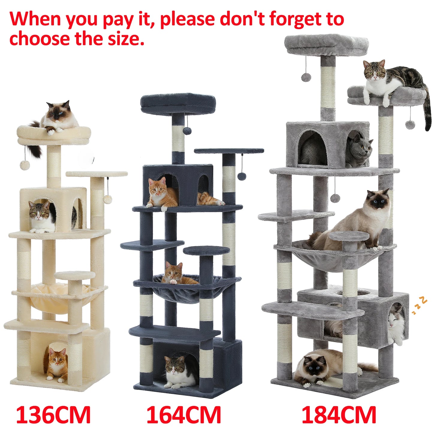 Tour Chat Multi Activités