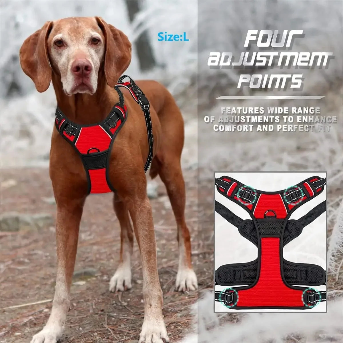 Ensemble cuir chien – Harnais gilet + collier + laisse petit & moyen